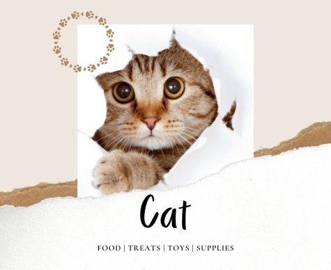 Cat Food Treats Toys Supplies