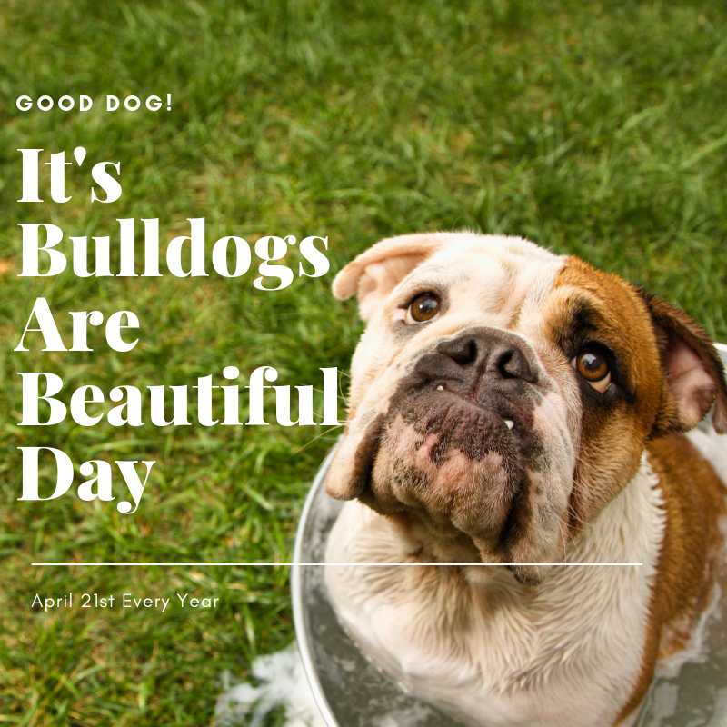 It's Bulldogs are Beautiful Day!