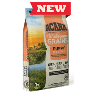 ACANA Wholesome Grains Puppy 11.5lb acana, dog food, dog, wholesome grains, grains, puppy