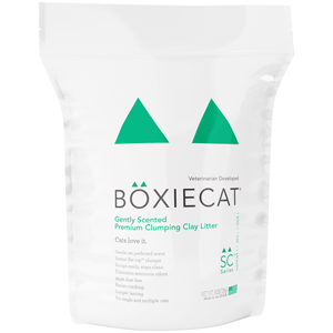Boxiecat Gently Scented Premium Clumping Clay Cat Litter Boxiecat, Premium, Clumping, Clay, Cat Litter, gently
