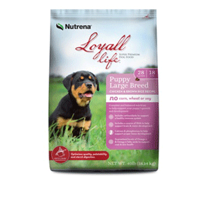Life Large Breed Puppy Chicken & Brown Rice 40lb Loyall, Life, Puppy, Chicken, Brown Rice, large breed