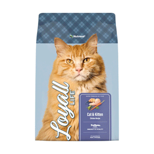 Loyall Life Chicken Cat & Kitten 20lb Loyall Life, Chicken, Cat, Kitten