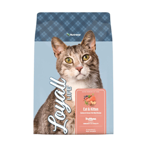 Loyall Life Cat & Kitten Salmon & Oceanfish 20lb Loyall Life, salmon, oceanfish, Cat, Kitten
