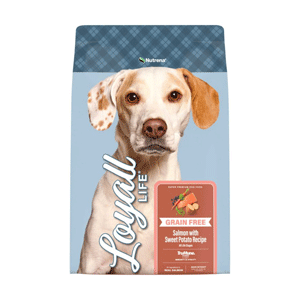 Loyall Life ALS Grain Free Salmon & Sweet Potato 30lb Loyall, Life, ALS, all life stages, gf, Grain Free, Salmon, Sweet Potato