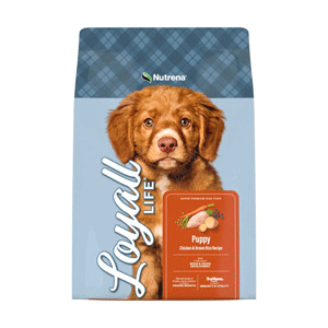 Loyall Puppy Chicken & Brown Rice Loyall, puppy
