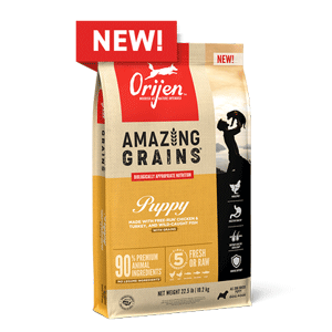 ORIJEN Amazing Grains Puppy Food 22.5lb orijen, dog, dog food, amazing grains, grain, puppy