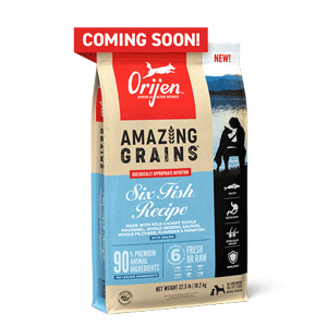 ORIJEN Amazing Grains Six Fish Dog Food 22.5lb orijen, dog, dog food, amazing grains, grain, six fish