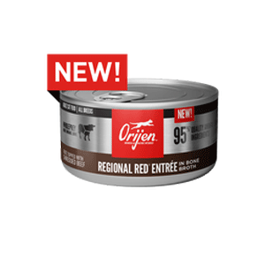 ORIJEN Regional Red Entrée Wet Cat Food 3oz 24 Case orijen, cat food, cat, wet, canned, regional red, entrée
